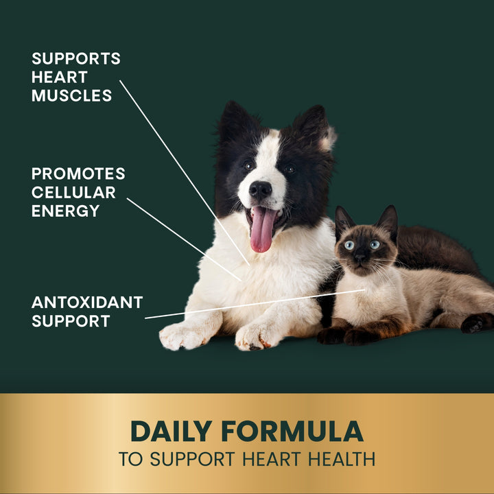 VetriScience CoQ10 Healthy Heart for Dogs & Cats (100 capsules) - formerly known as Coenzyme Q10 (10mg, 100 Capsules)