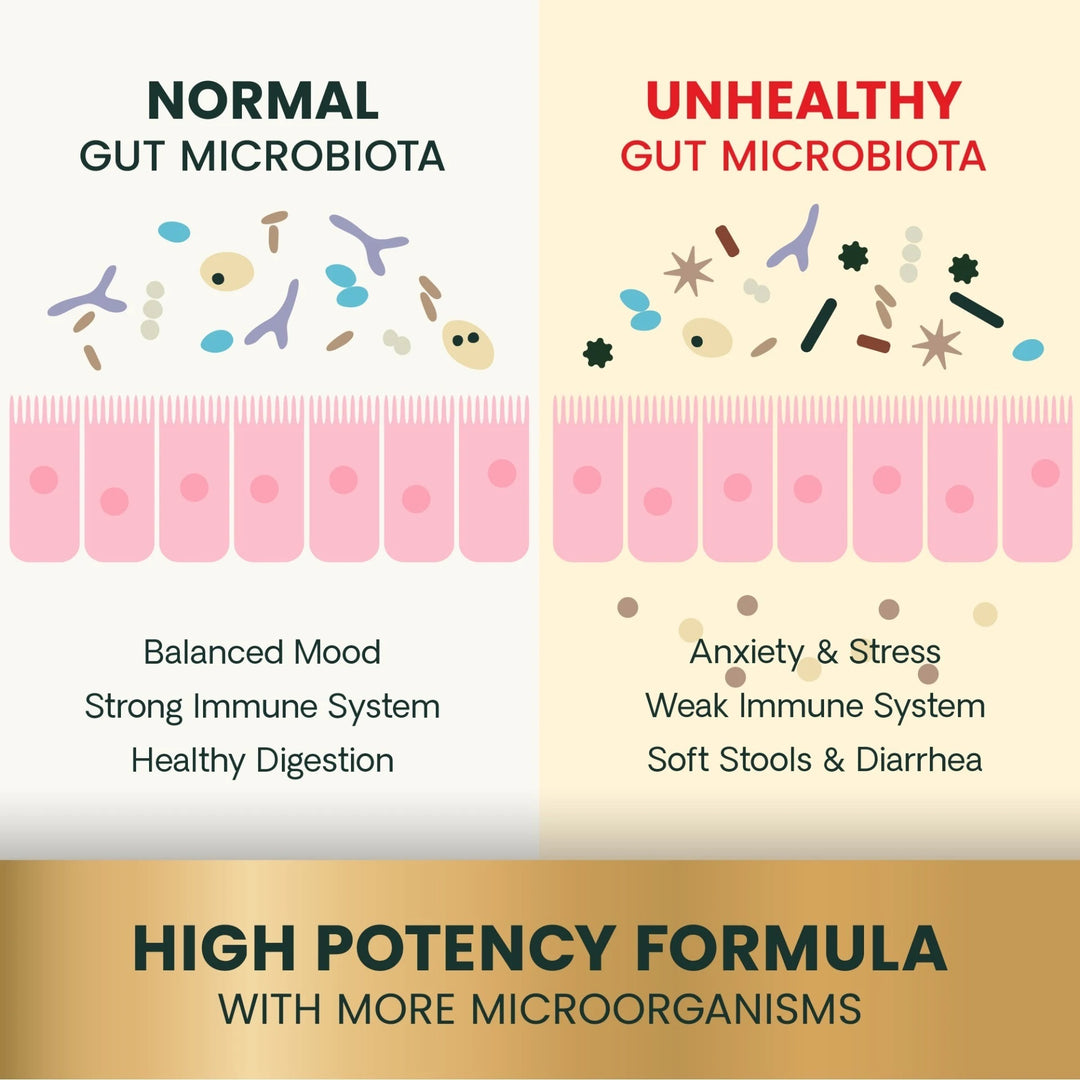 VetriScience® Extra Strength Gut Health - 120 Capsules (formerly known as Mega Probiotics)