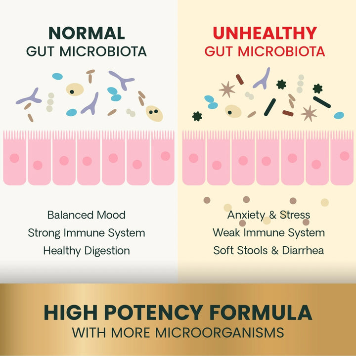 VetriScience® Extra Strength Gut Health - 120 Capsules (formerly known as Mega Probiotics)