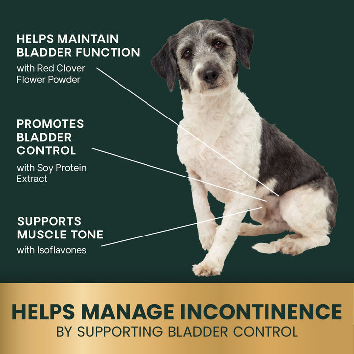 VetriScience Female Bladder Health for Dogs (60 chews)