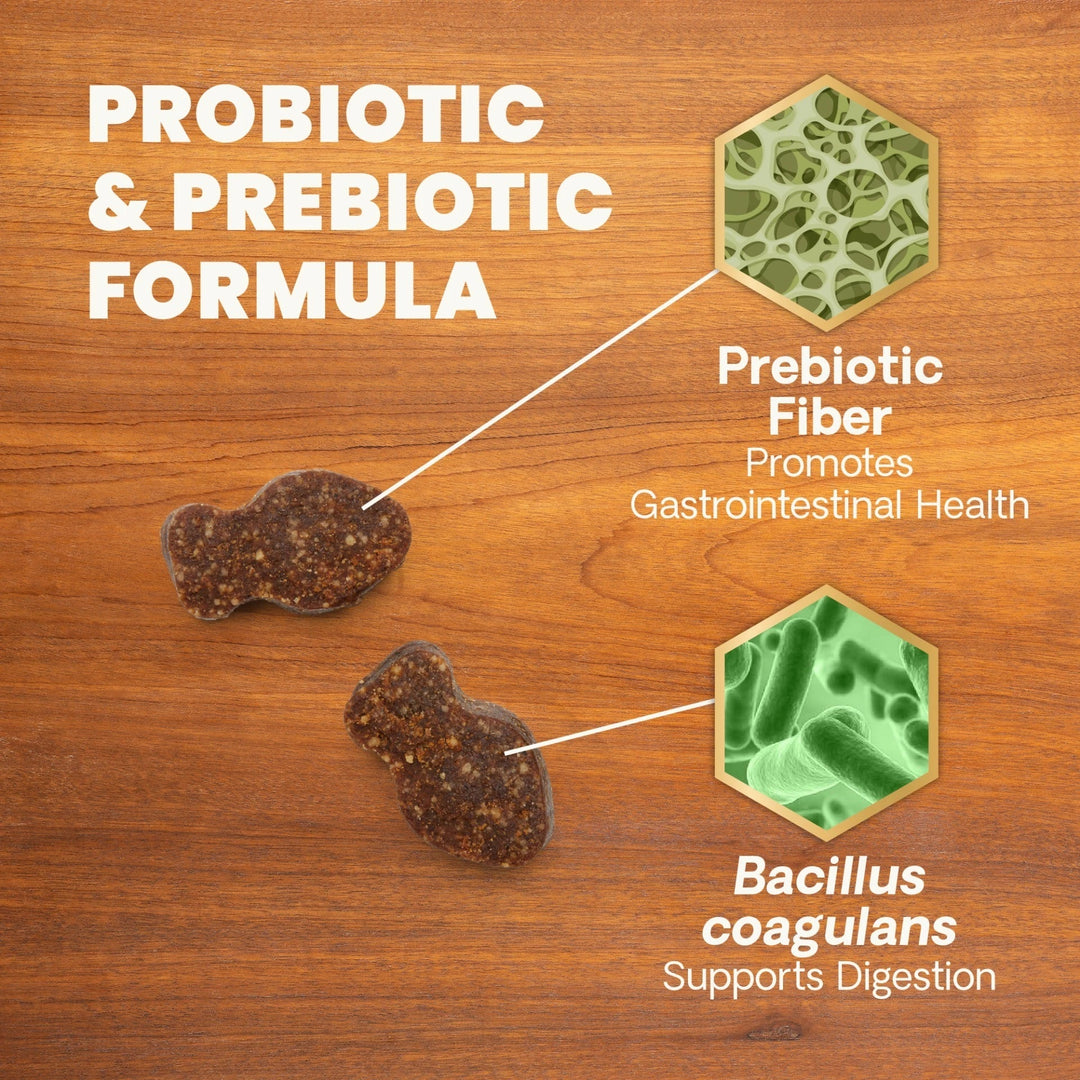 [NEW LOOK!] VetriScience® - Gut Health For Cats (60 chews)  formally known as Probiotic Everyday for Cats