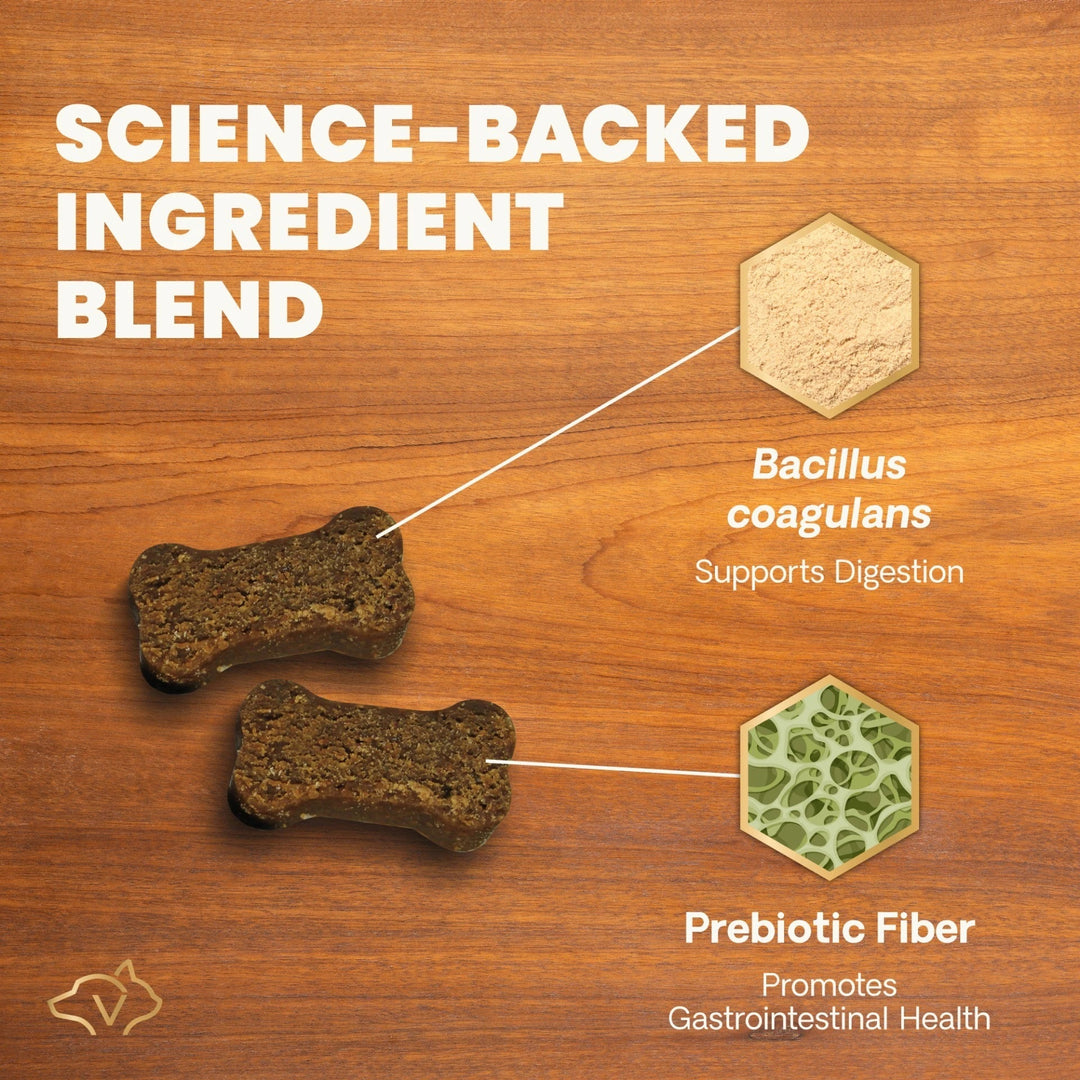 VetriScience Gut Health for Dogs - 45 Duck Flavor Chews (formerly known as Probiotics Everyday for Dogs)