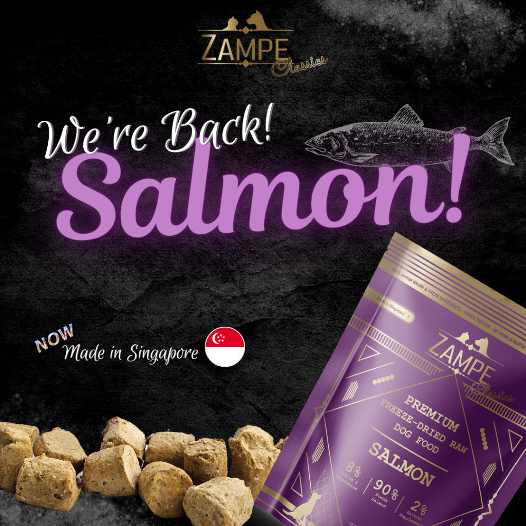 [ Relaunch - Made in SG ] Zampe Pets Freeze Dried Raw Pops - Pork / Beef / Chicken / Duck / Salmon (14.1oz/400g)