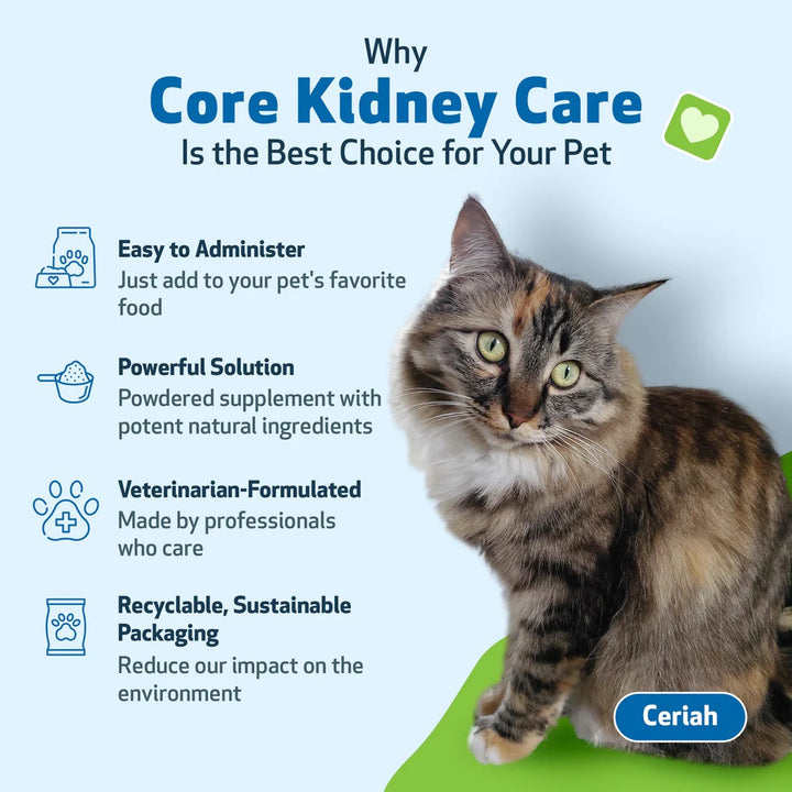 Pet Wellbeing Core Kidney Care (144g) - Daily Phosphate Binder for Cats & Dogs