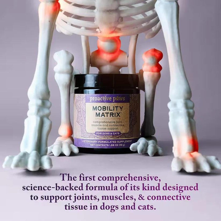 [ NEW! ] Proactive Paws Mobility Matrix (45g) by Dr Karen Becker