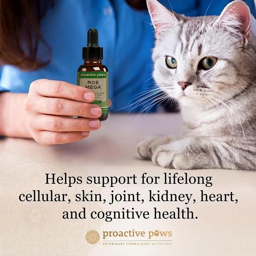 [ NEW! ] Proactive Paws Roe Mega (30ml) by Dr Karen Becker