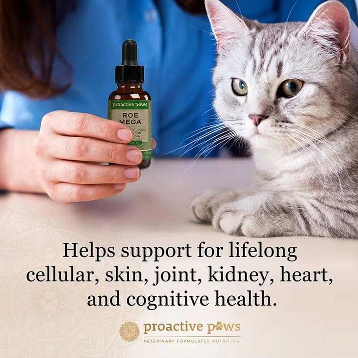 [ NEW! ] Proactive Paws Roe Mega (30ml) by Dr Karen Becker