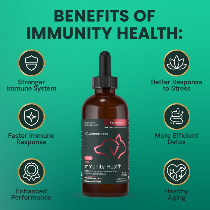VetriScience DMG Immunity Health - was previously Vetri DMG™ Liquid (30ml/114ml)  - Immune system, liver metabolism, stamina and muscle recovery support