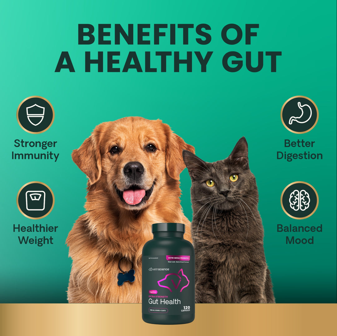 VetriScience® Extra Strength Gut Health - 120 Capsules (formerly known as Mega Probiotics)