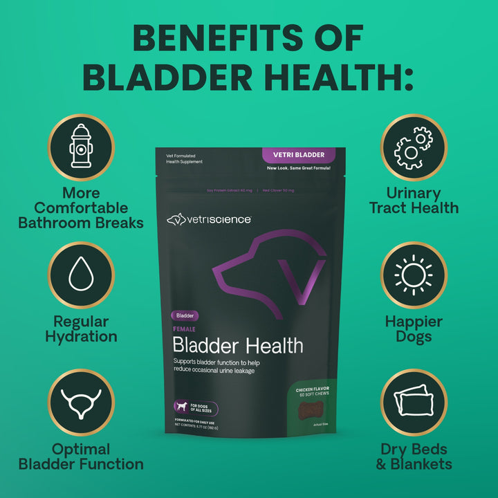 VetriScience Female Bladder Health for Dogs (60 chews)