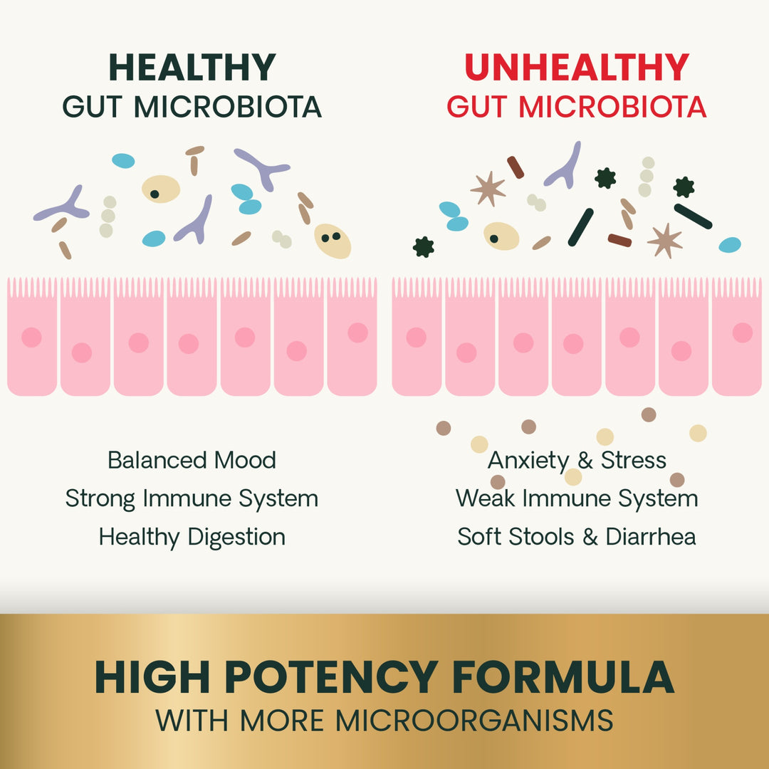 [NEW LOOK!] VetriScience® - Gut Health For Cats (60 chews)  formally known as Probiotic Everyday for Cats