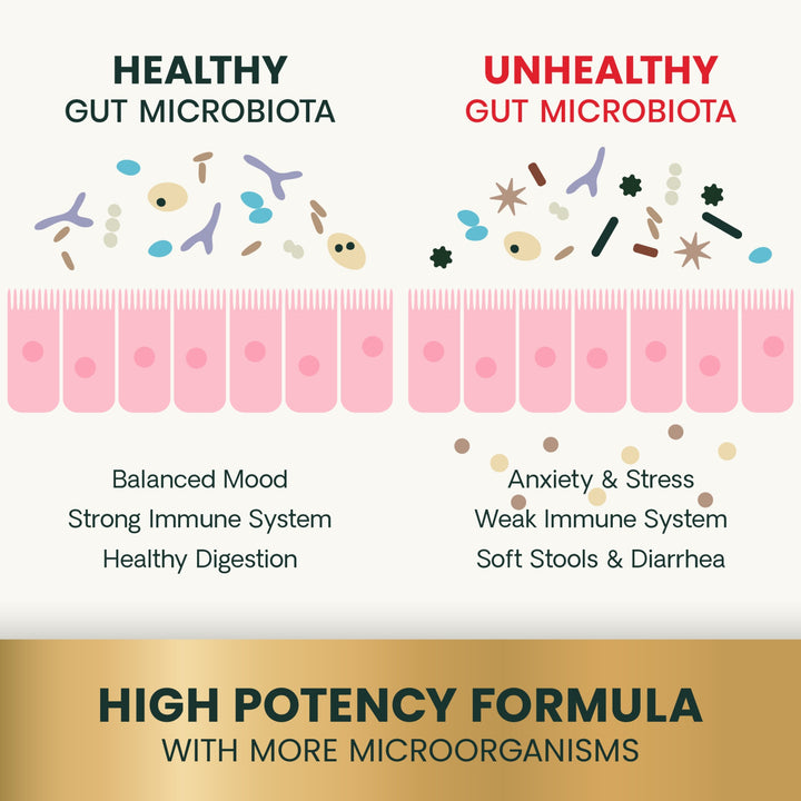 [NEW LOOK!] VetriScience® - Gut Health For Cats (60 chews)  formally known as Probiotic Everyday for Cats