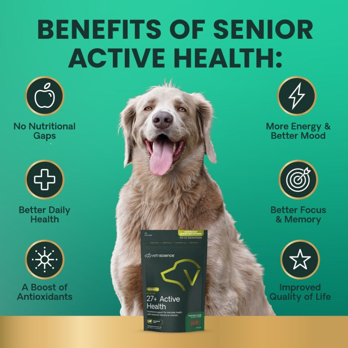 [NEW LOOK!] VetriScience Senior 27+ Active Health 60 chews ( previously known as Canine Plus™ Senior Multivitamin )