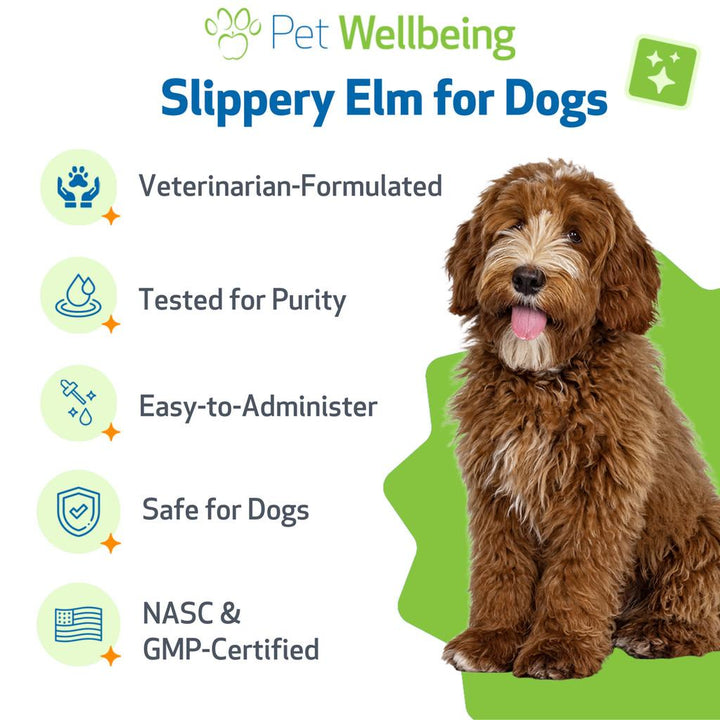 [ NEW! ] Pet Wellbeing Slippery Elm (2oz) - for Healthy Digestive Tract and Throat Tissue in Dogs