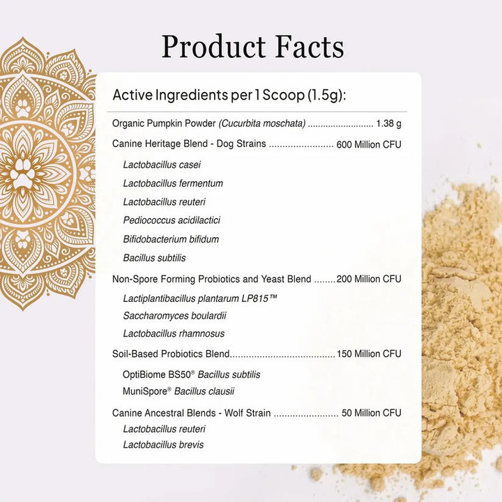 [NEW!] Proactive Paws - Primitive Probiotics (45g) by Dr Karen Becker. Next gen probiotics from wild wolves, canine specific strains, soil based organism