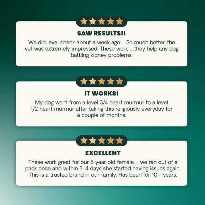 VetriScience Kidney Health, formally Renal Essentials Kidney Supplement for Dogs (60 Chewable Tablets)