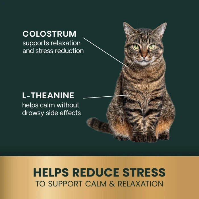 VetriScience ® Calm & Confident - 30 Chicken Flavored Chews, formally Composure™ Calming Supplement for Cats (30 chews)
