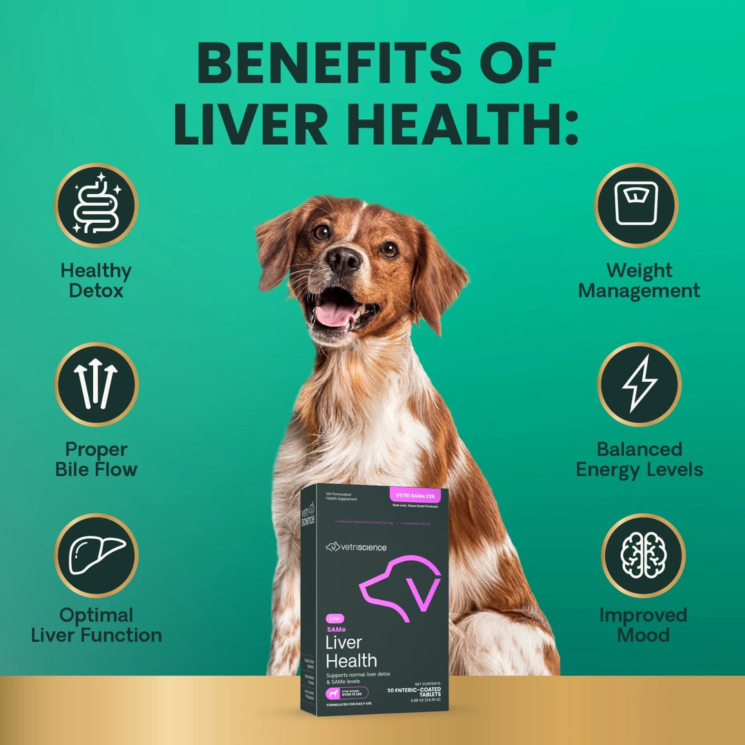 [NEW LOOK!] VetriScience SAMe 225 Liver Health, formally Vetri SAMe 225 - Liver support with SAMe and Glutathione for Medium & Large Dogs (225mg, 30 tabs/box)