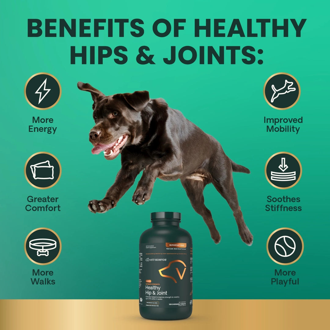 VetriScience® - Ultimate Strength Healthy Hip & Joint Chewable Tablets for Dogs