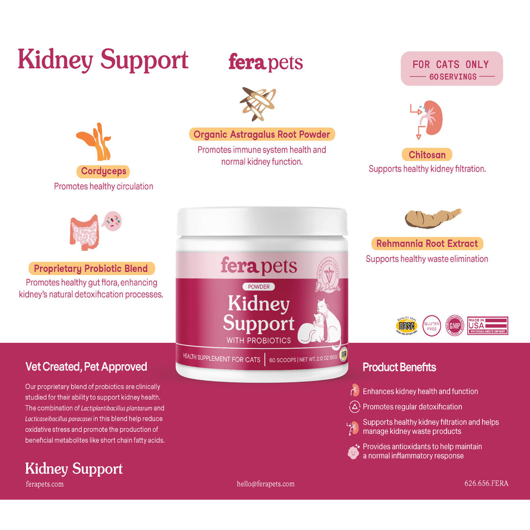 [NEW!] Fera Pets Kidney Support Supplement for Cats (60g)