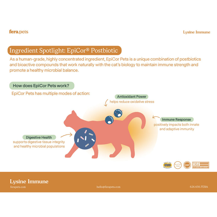 [NEW!] Fera Pets L-Lysine Immune Support for Cats (60g)