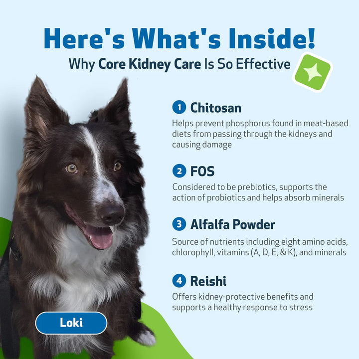 Pet Wellbeing Core Kidney Care (144g) - Daily Phosphate Binder for Cats & Dogs