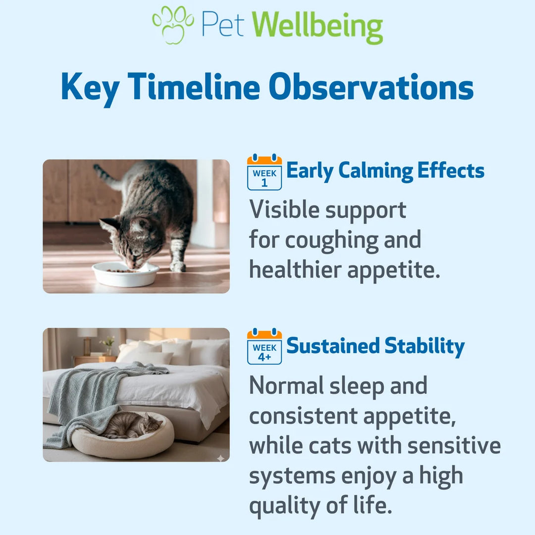 [ NEW! ] Pet Wellbeing Slippery Elm (2oz) - for Healthy Digestive Tract and Throat Tissue in Dogs