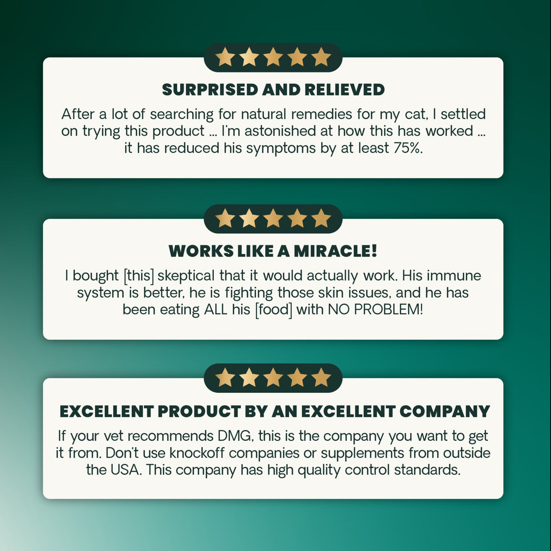 VetriScience DMG Immunity Health - was previously Vetri DMG™ Liquid (30ml/114ml)  - Immune system, liver metabolism, stamina and muscle recovery support