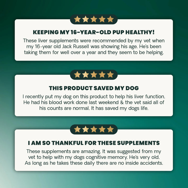 [NEW LOOK!] VetriScience SAMe 225 Liver Health, formally Vetri SAMe 225 - Liver support with SAMe and Glutathione for Medium & Large Dogs (225mg, 30 tabs/box)
