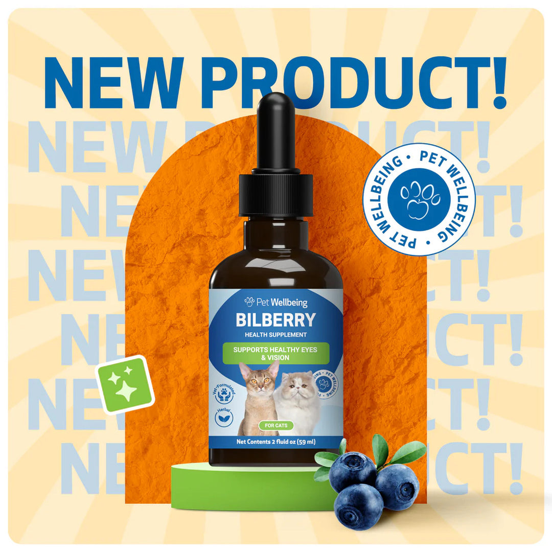 Pet Wellbeing - Bilberry 2oz (Supports Healthy Vision and Capillaries in Dogs)