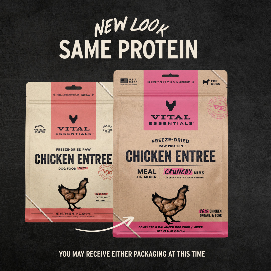 Vital Essentials® Freeze-Dried Raw Chicken Entree Dog Food Mini Nibs 14oz