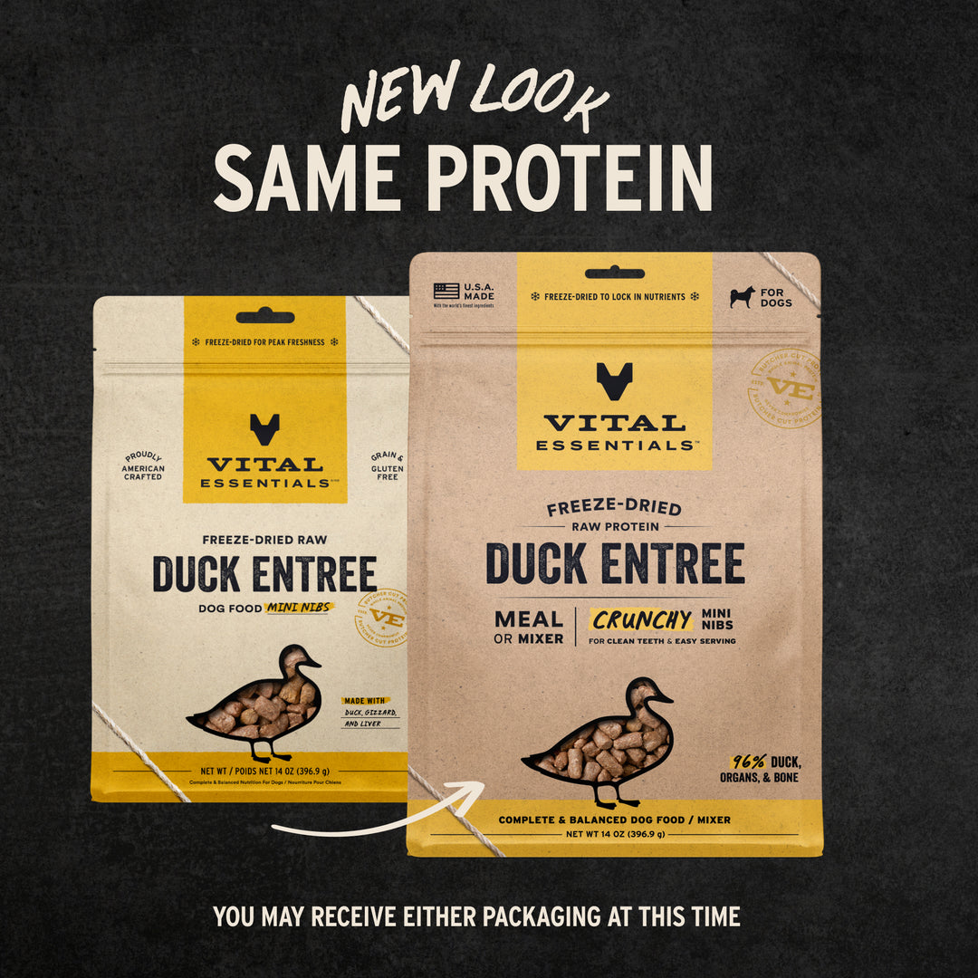 Vital Essentials Freeze-Dried Raw Duck Entree Dog Food Mini Nibs 14oz