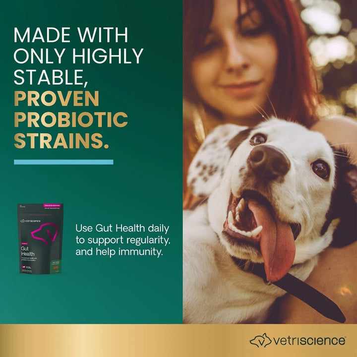 VetriScience Gut Health for Dogs - 45 Duck Flavor Chews (formerly known as Probiotics Everyday for Dogs)