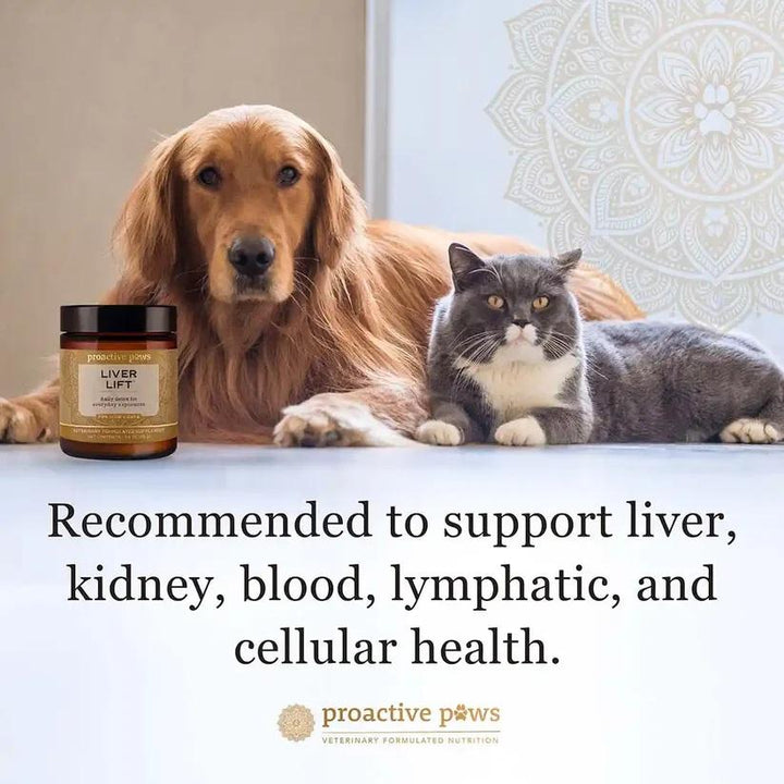 [ NEW! ] Proactive Paws Liver Lift (45g) by Dr Karen Becker