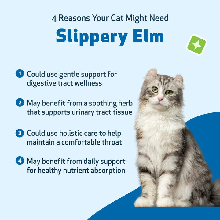[ NEW! ] Pet Wellbeing Slippery Elm (2oz) - for Healthy Digestive Tract and Throat Tissue in Dogs