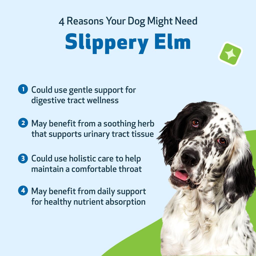 [ NEW! ] Pet Wellbeing Slippery Elm (2oz) - for Healthy Digestive Tract and Throat Tissue in Dogs