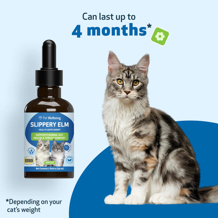 [ NEW! ] Pet Wellbeing Slippery Elm (2oz) - for Healthy Digestive Tract and Throat Tissue in Dogs