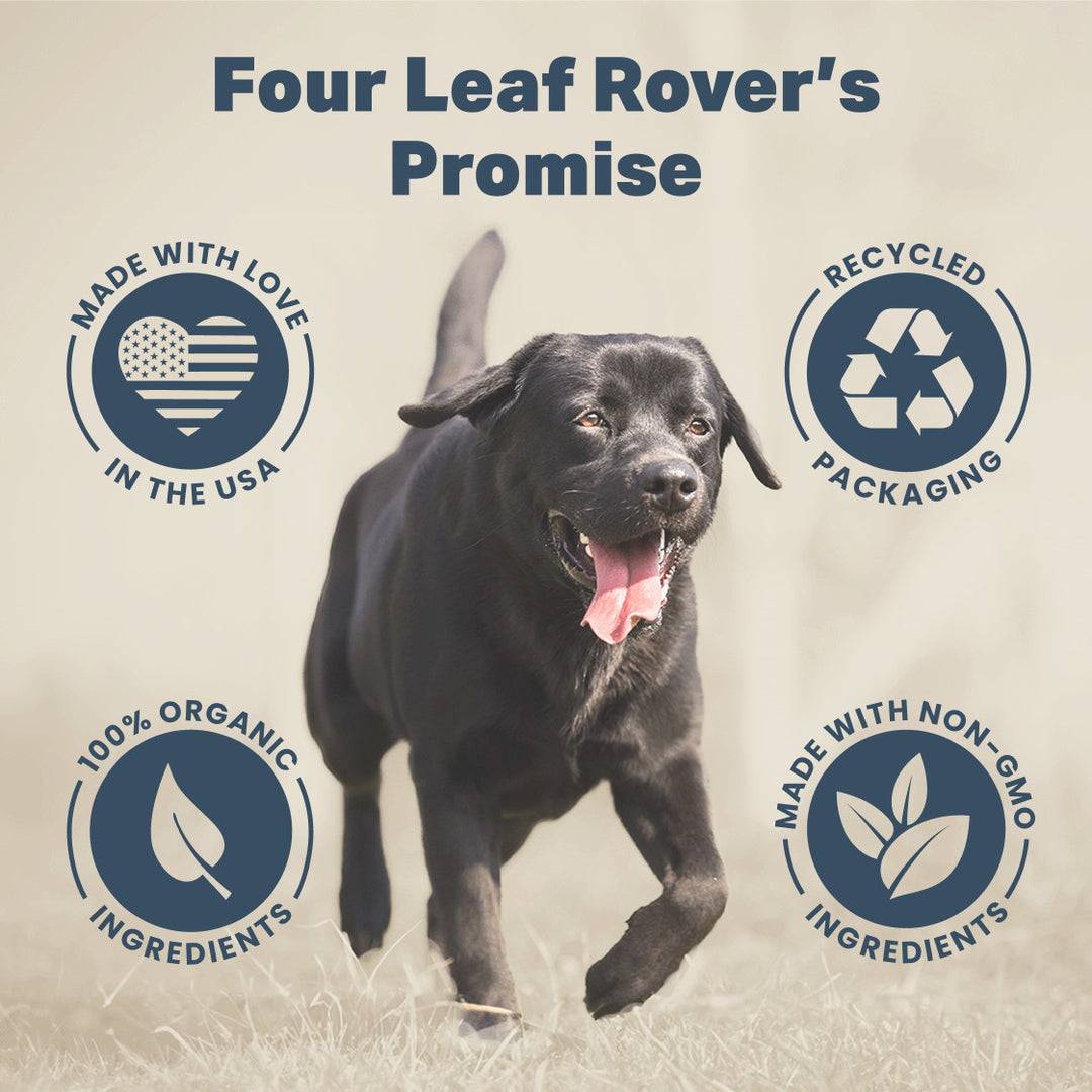 Four Leaf Rover Oral Health 48g