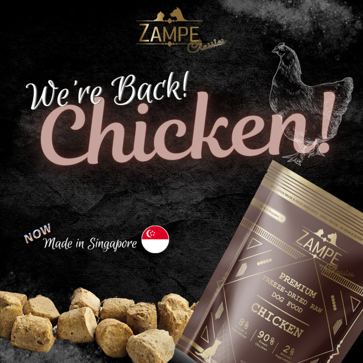 [ Relaunch - Made in SG ] Zampe Pets Freeze Dried Raw Pops - Pork / Beef / Chicken / Duck / Salmon (14.1oz/400g)