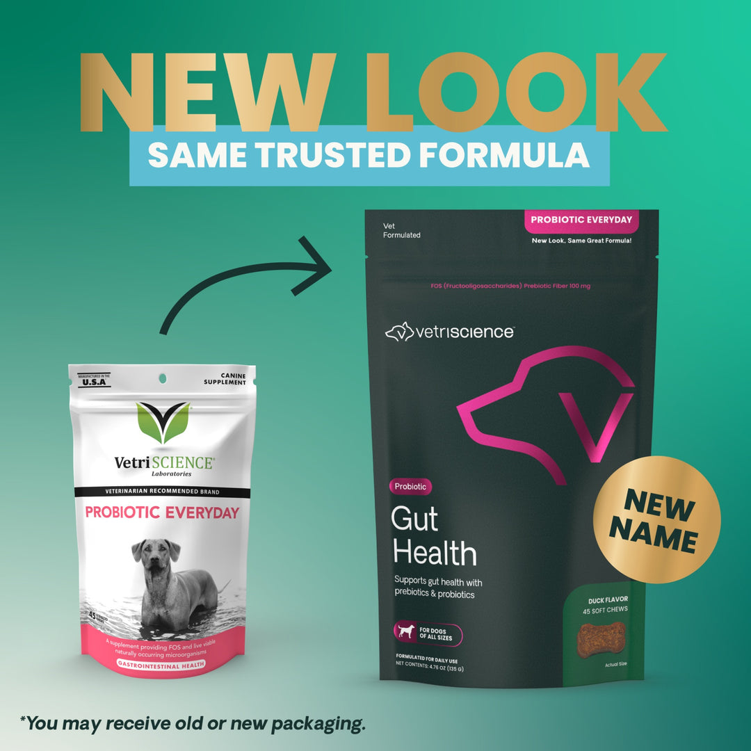 VetriScience Gut Health for Dogs - 45 Duck Flavor Chews (formerly known as Probiotics Everyday for Dogs)
