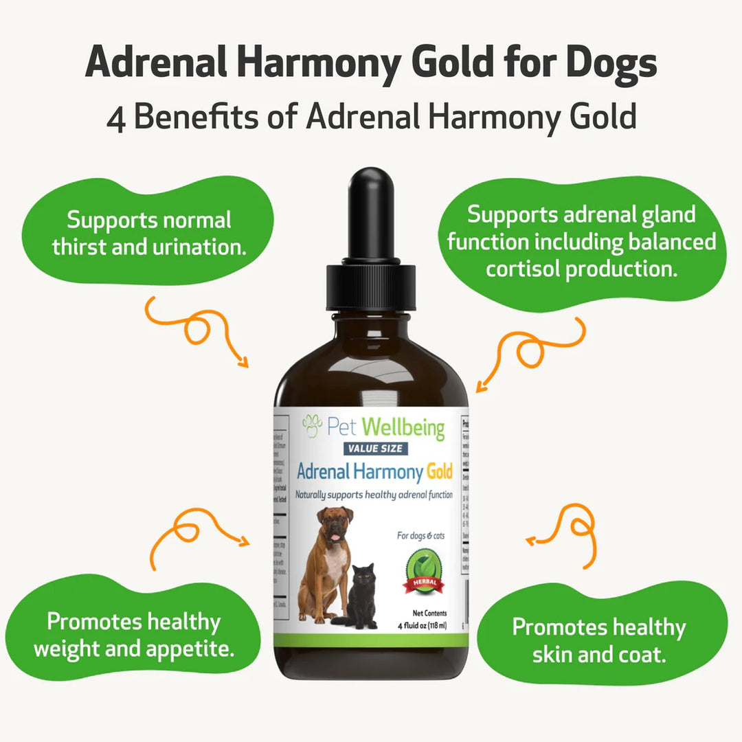 Pet Wellbeing - Adrenal Harmony Gold - for Dog Cushing's