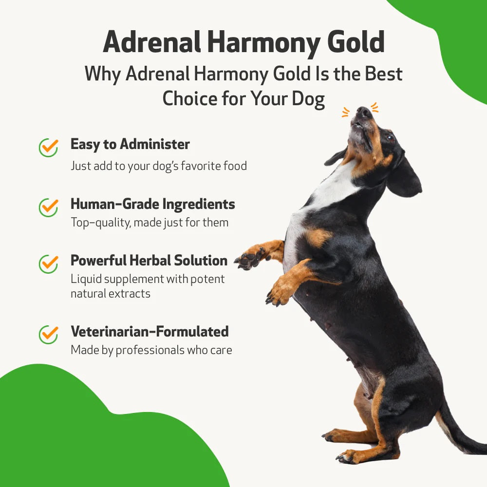 Pet Wellbeing - Adrenal Harmony Gold - for Dog Cushing's