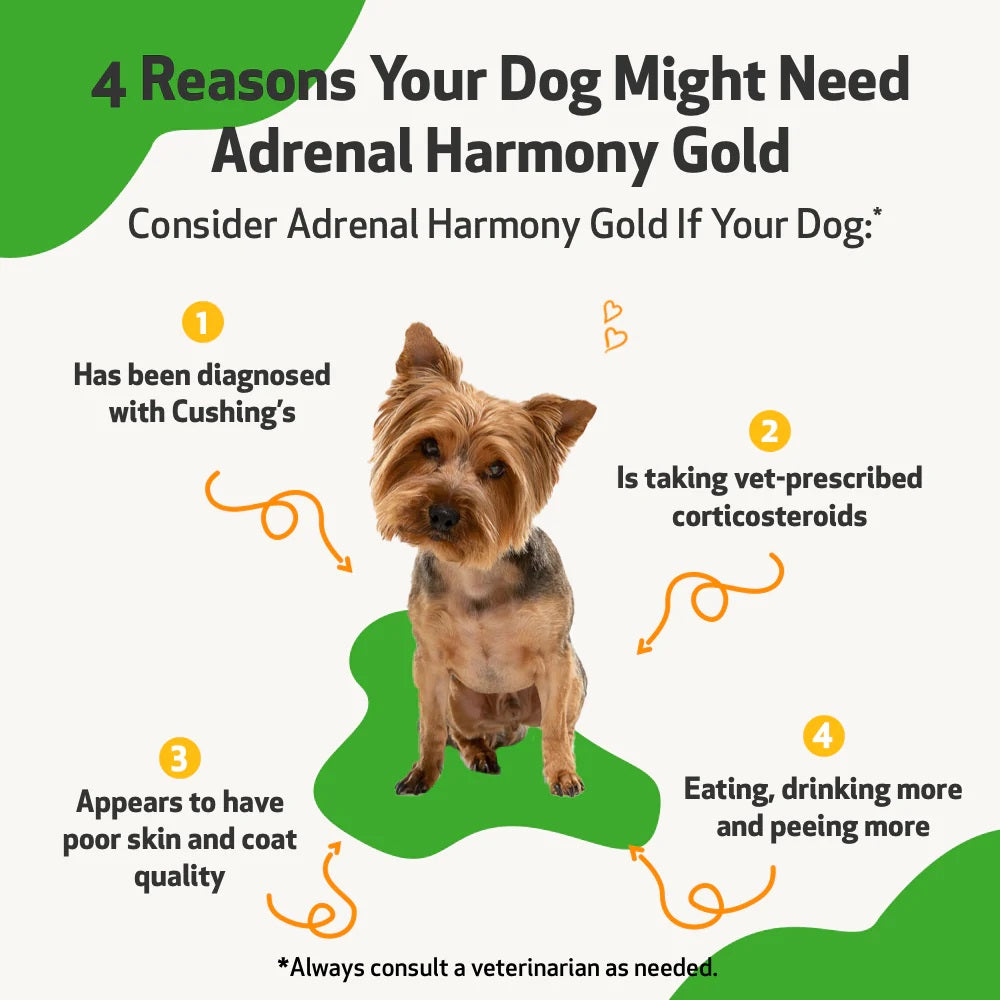 Pet Wellbeing - Adrenal Harmony Gold - for Dog Cushing's