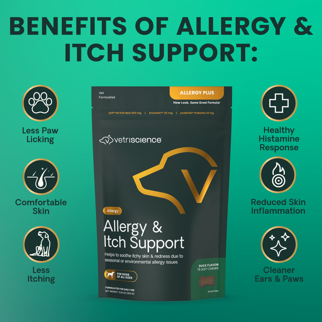 VetriScience Allergy & Itch Support for Dogs (60 chews), formally VetriScience Allergy Plus Immune Supplement for Dogs