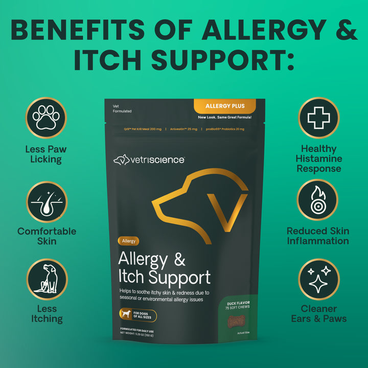 VetriScience Allergy & Itch Support for Dogs (60 chews), formally VetriScience Allergy Plus Immune Supplement for Dogs