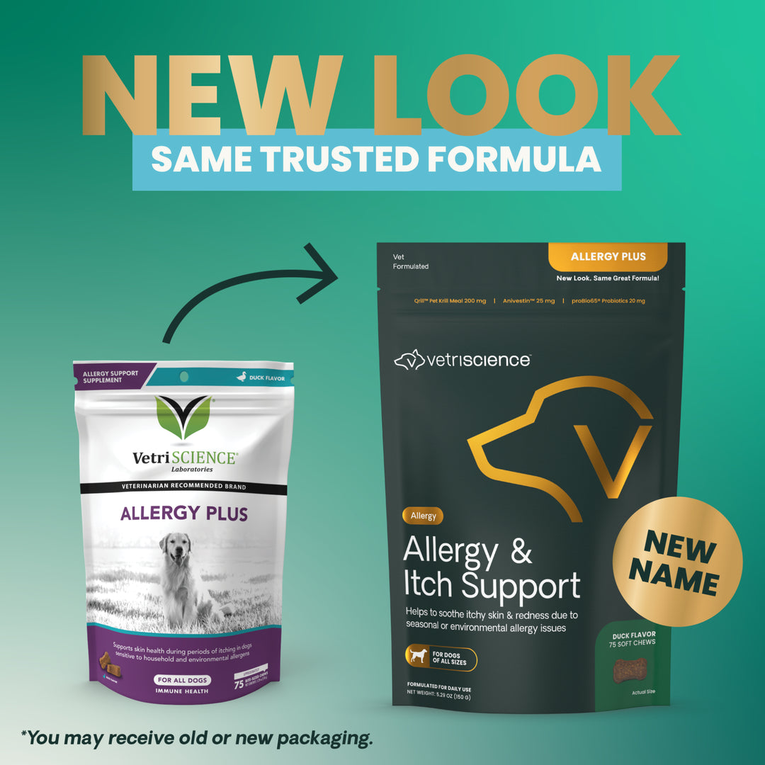 VetriScience Allergy & Itch Support for Dogs (60 chews), formally VetriScience Allergy Plus Immune Supplement for Dogs