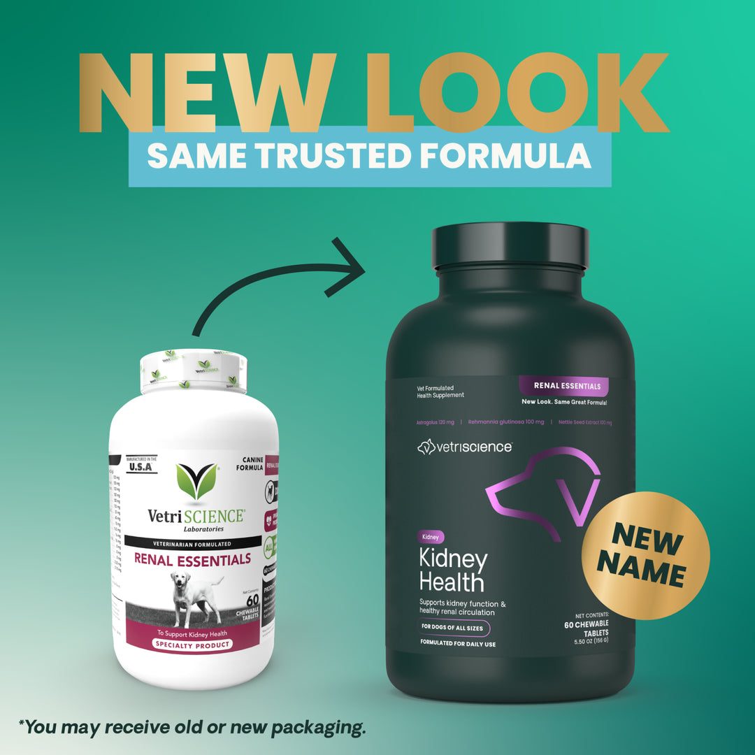 VetriScience Kidney Health, formally Renal Essentials Kidney Supplement for Dogs (60 Chewable Tablets)