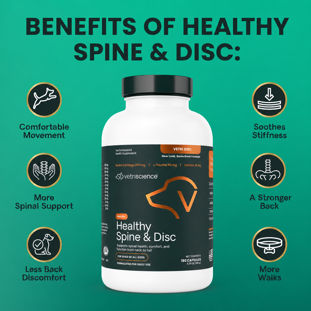 [NEW LOOK!] VetriScience Healthy Spine & Disc, formally known as Vetri Disc Spinal Support Supplement for Dogs (180 capsules)