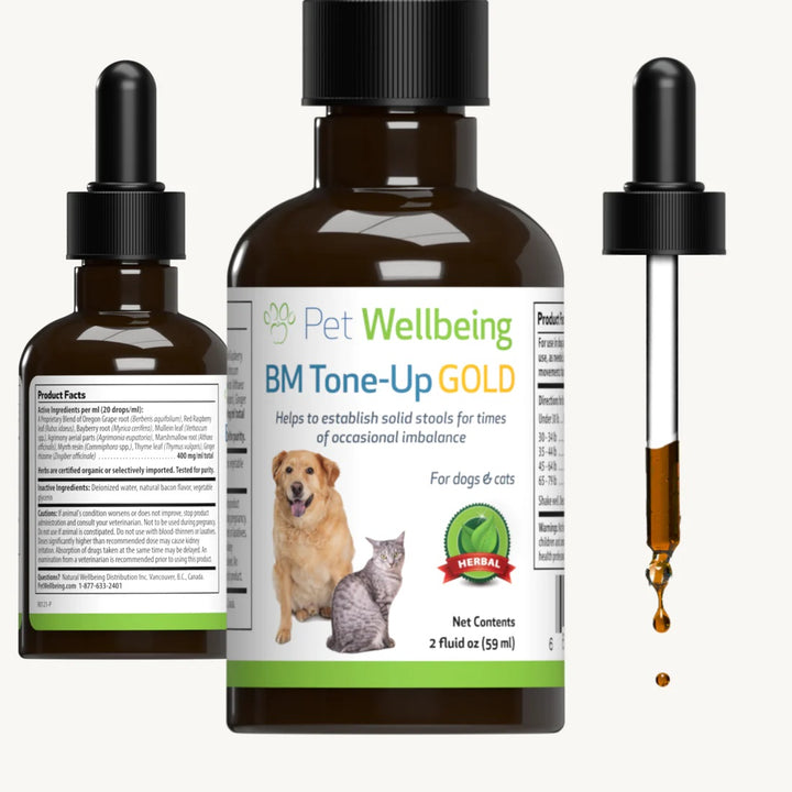 Pet Wellbeing - BM Tone-Up Gold - for Loose Stools in Cats & Dogs