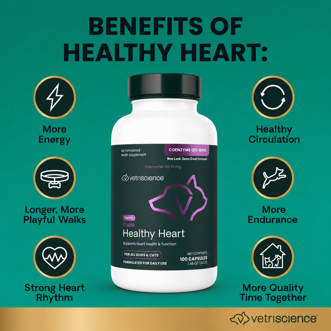 VetriScience CoQ10 Healthy Heart for Dogs & Cats (100 capsules) - formerly known as Coenzyme Q10 (10mg, 100 Capsules)